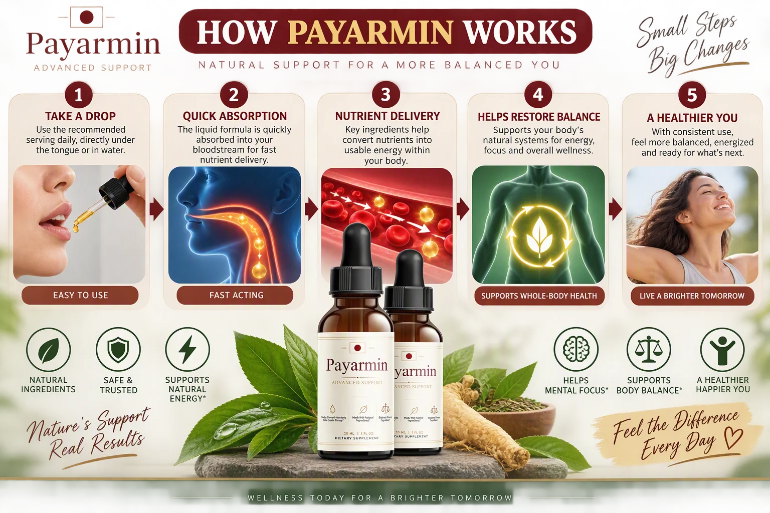 How Payarmin works — take a drop, quick absorption, nutrient delivery, helps restore balance, a healthier you
